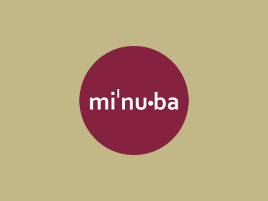Consile Minuba integration